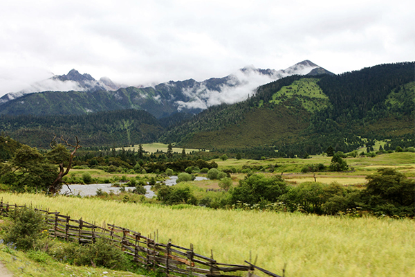 極奢環藏，拉薩，林芝，波密，魯朗林海，大峽谷，拉姆拉錯，澤當，珠峰，薩嘎，岡仁波齊，古格王朝，獅泉河，扎林寺，當惹雍錯，尼瑪，班戈，納木錯20晚21日游