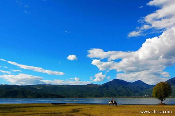 西藏旅游花多少錢