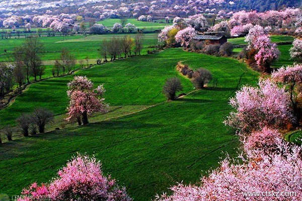 4月去西藏旅游需要注意什么