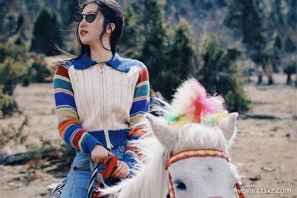 西藏報(bào)團(tuán)玩10天多少錢